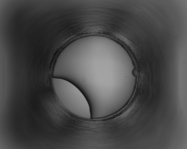 X0000090620778200707171101