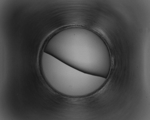 X0000090620780200707171101