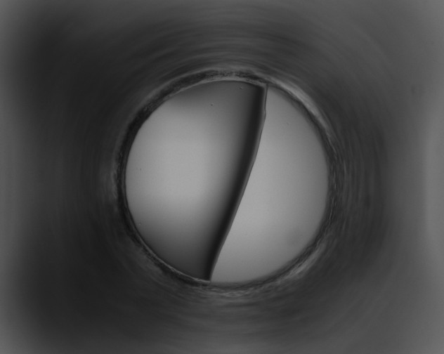 X0000090620783200707171101