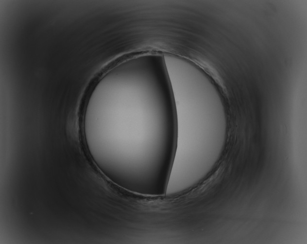 X0000090620784200707171101