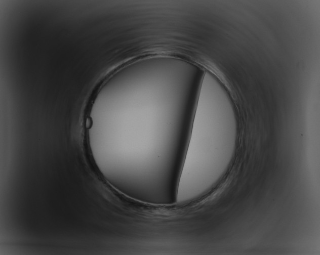 X0000090620787200707171101