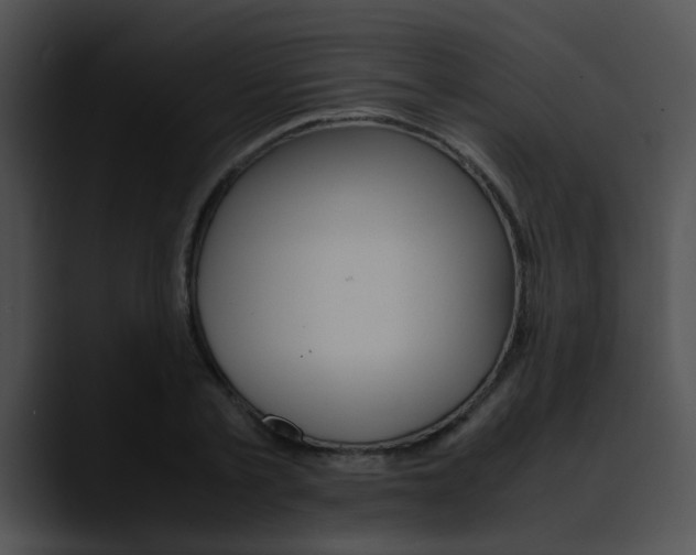 X0000090620789200707171101
