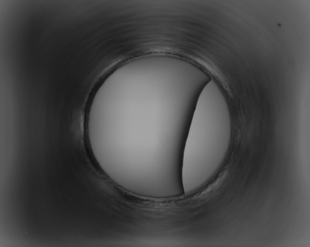 X0000090620790200707171101