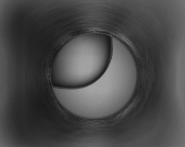 X0000090620793200707171101