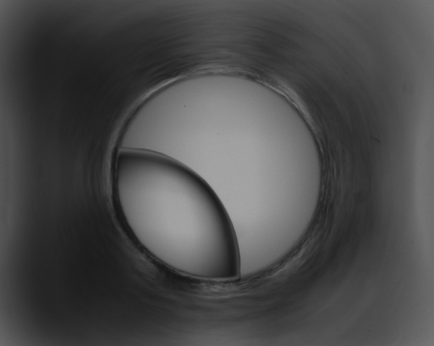 X0000090620795200707171101
