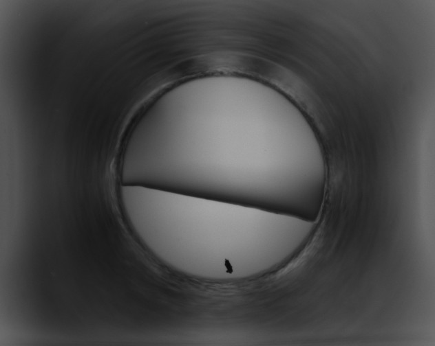 X0000090620798200707171101