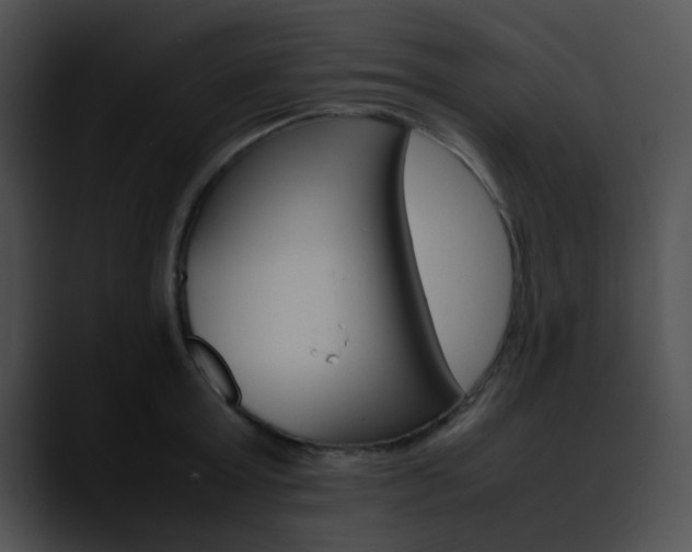 X0000090620803200707171101