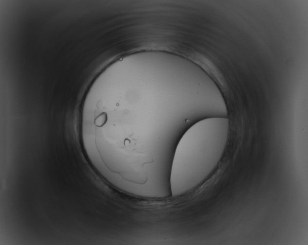 X0000090620804200707171101