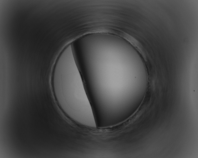 X0000090620805200707171101