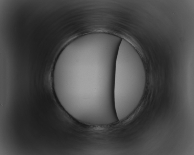 X0000090620806200707171101