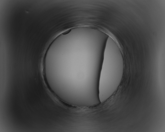 X0000090620811200707171101