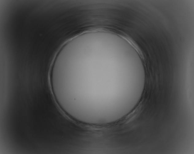 X0000090620813200707171101
