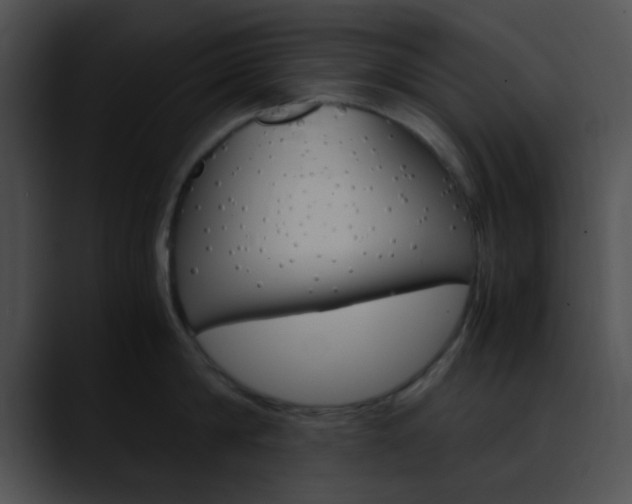 X0000090620814200707171101
