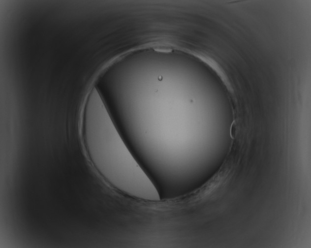 X0000090620815200707171101
