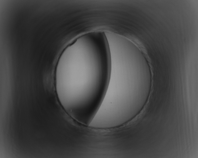 X0000090620816200707171101