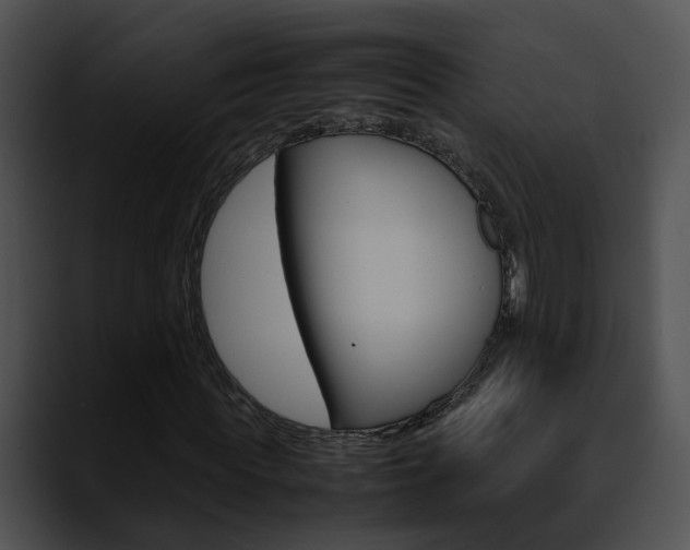 X0000090620819200707171101