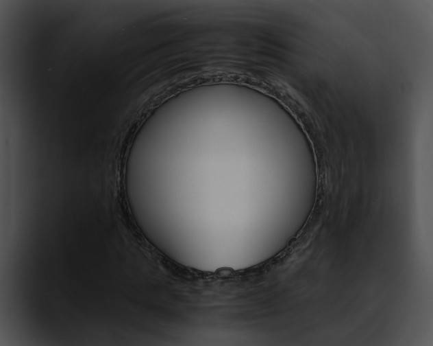 X0000090620821200707171101