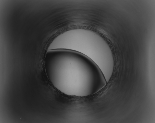 X0000090620822200707171101