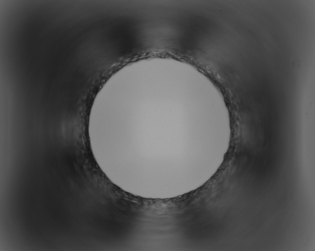 X0000090620824200707171101