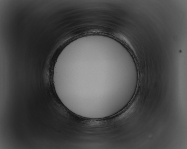 X0000090620827200707171101