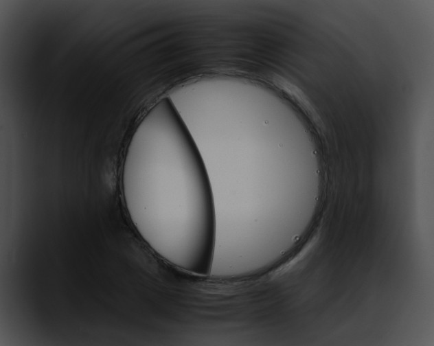 X0000090620833200707171101