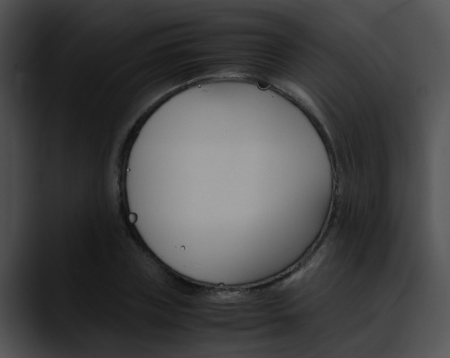 X0000090620835200707171101