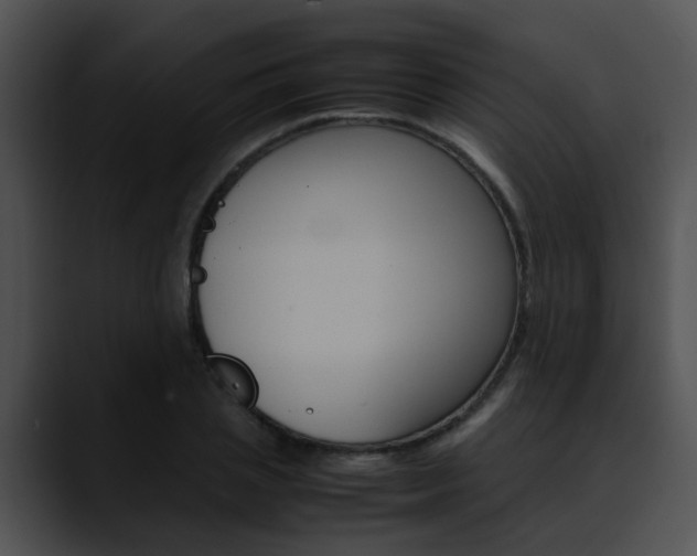 X0000090620837200707171101