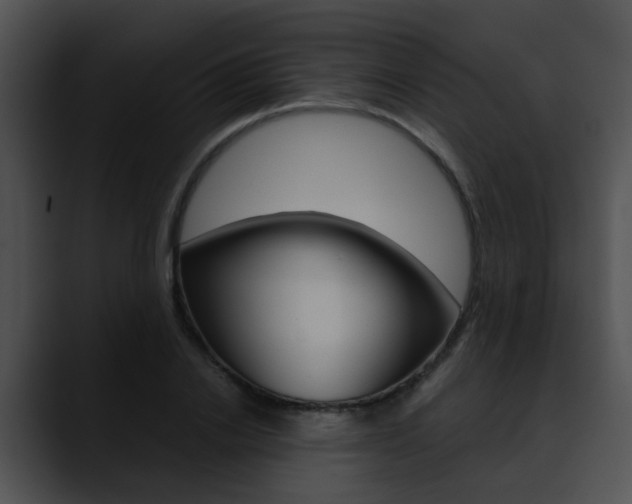 X0000090620838200707171101