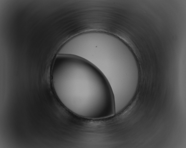 X0000090620842200707171101