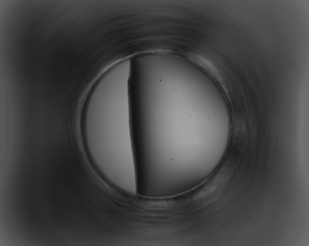 X0000090620843200707171101
