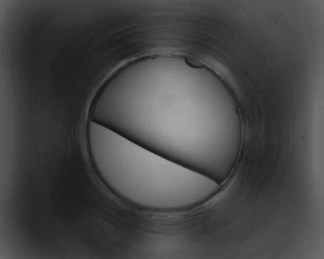 X0000090620844200707171101