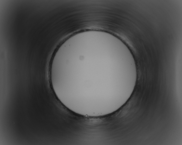 X0000090620848200707171101