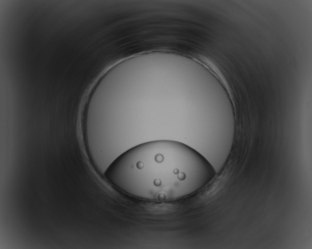 X0000090620851200707171101