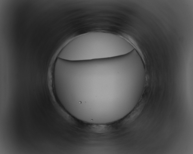 X0000090620859200707171101