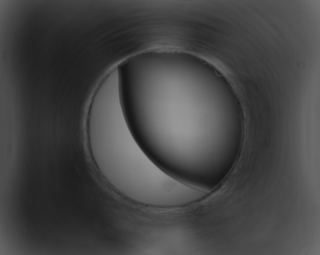 X0000090620864200707171101