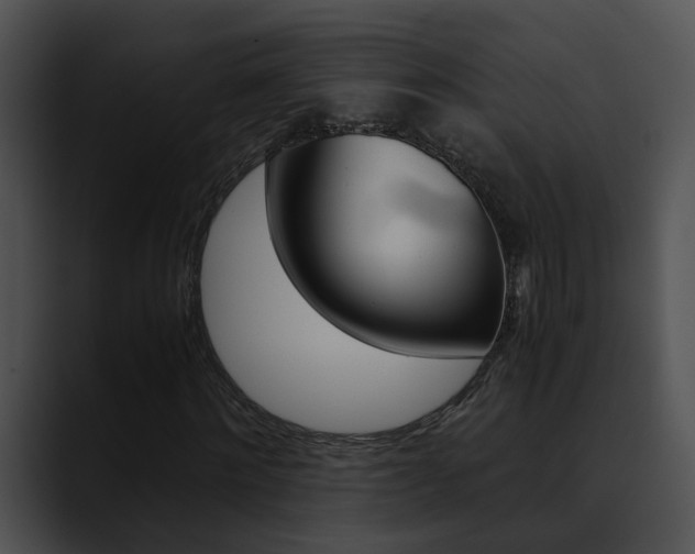 X0000090620868200707171100