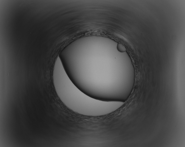 X0000090620869200707171100