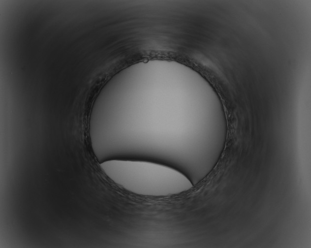 X0000090620870200707171100