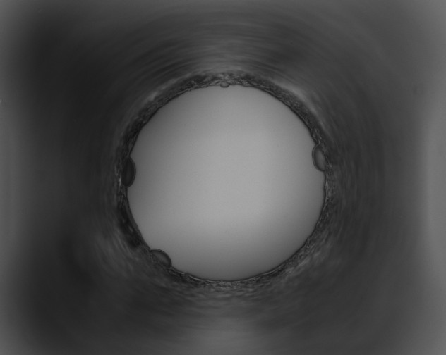 X0000090620871200707171100