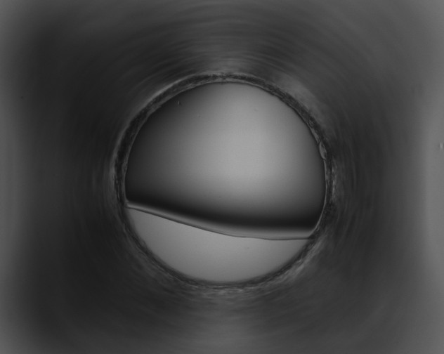 X0000090620876200707171100