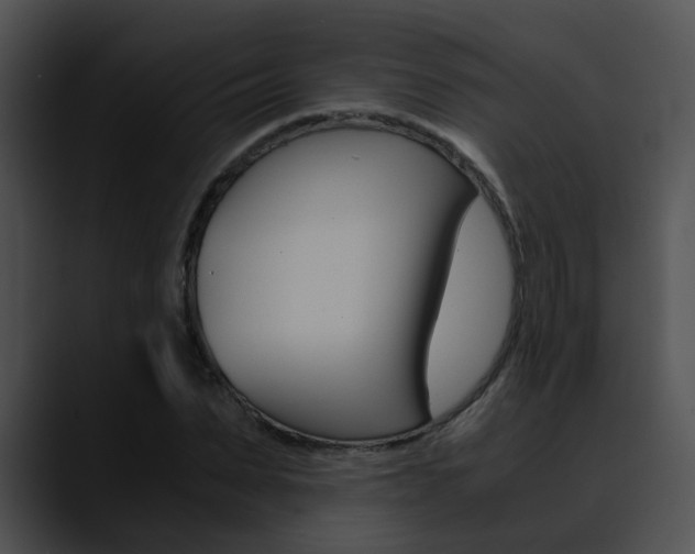 X0000090620879200707171100