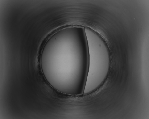 X0000090620880200707171100