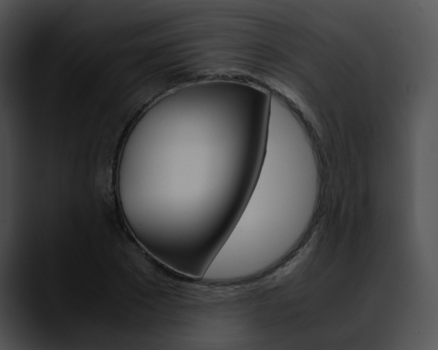 X0000090620881200707171100