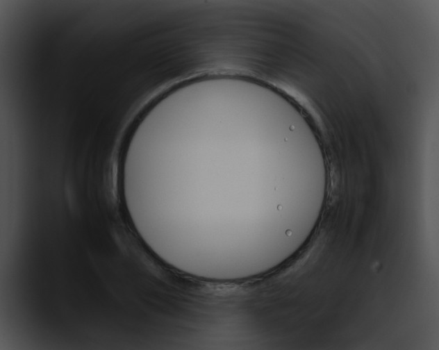 X0000090620886200707171100
