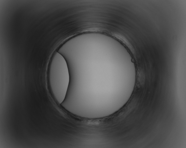 X0000090620890200707171100