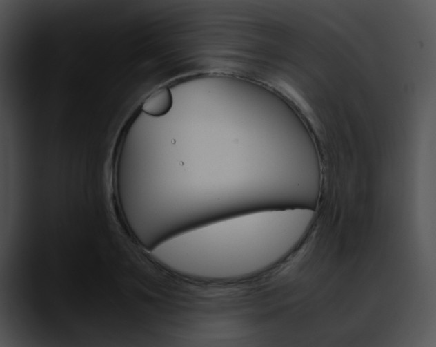 X0000090620891200707171100