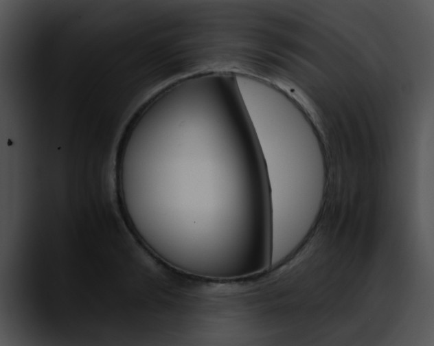 X0000090620894200707171100