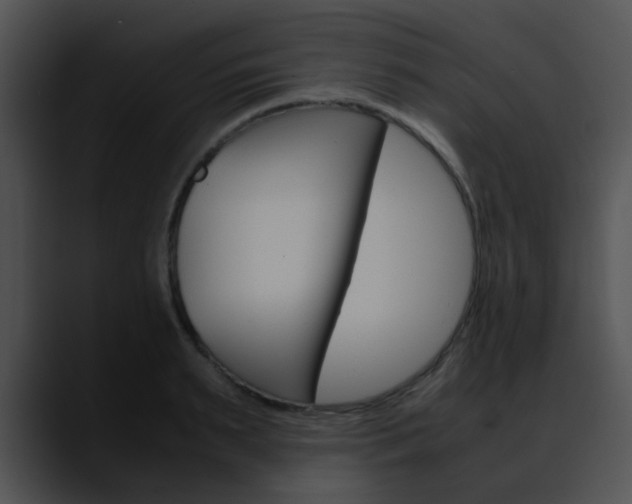 X0000090620895200707171100