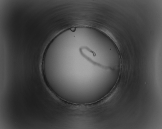 X0000090620901200707171100