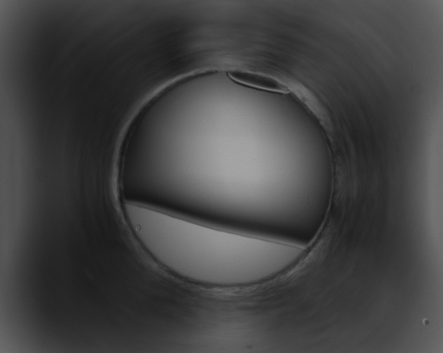 X0000090620904200707171100